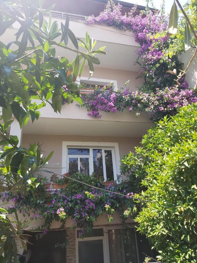 Apartman Flowers